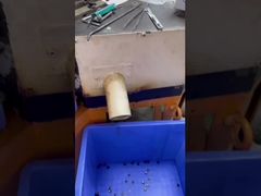 5 katmanlı gömlek düğmeleri 18L'de gömlek giyim aksesuarları için kullanılabilir